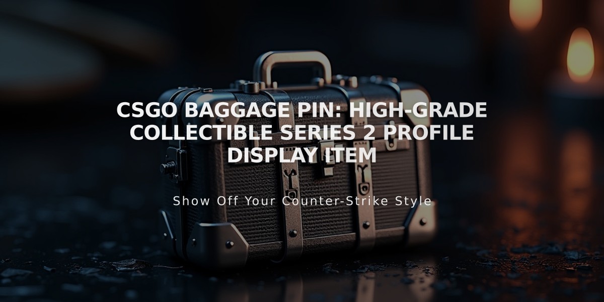 CSGO Baggage Pin: High-Grade Collectible Series 2 Profile Display Item